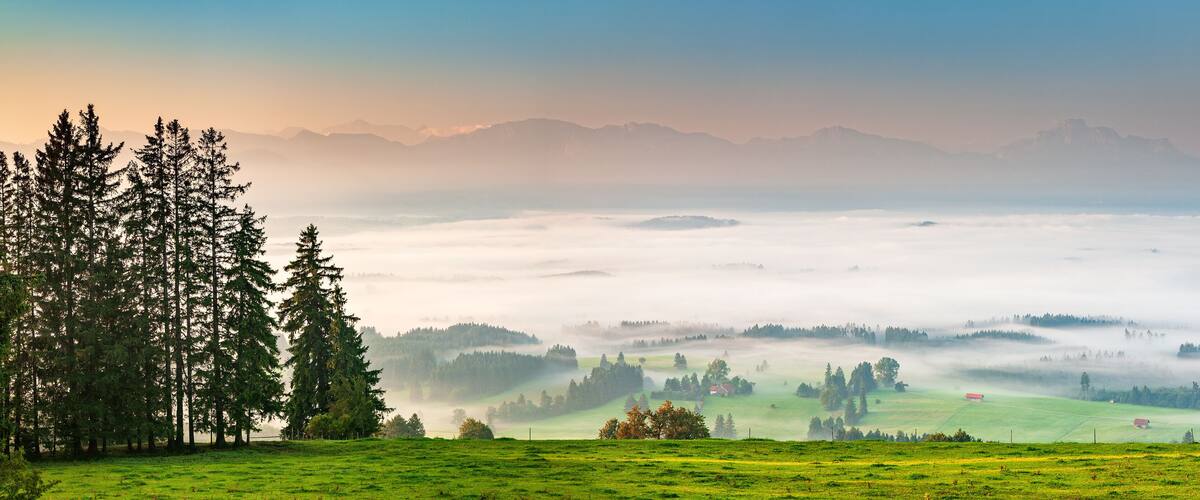 A misty valley with green fields, a forest of tall trees, and distant mountains.