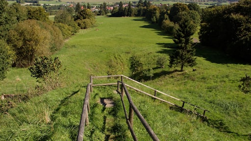 This is a picture of the hessian Kulturdenkmal (cultural monument) with the ID
