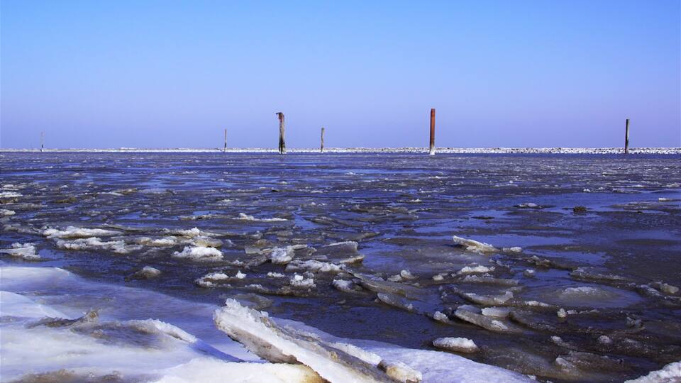 A frozen lake with ice floes and wooden posts in the distance.