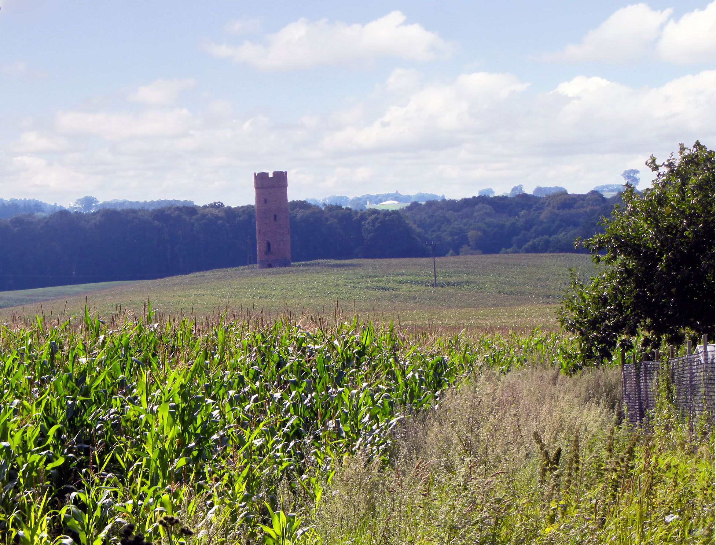 Blick auf den ehemaligen Wasserturm in Bellin im Landkreis Rostock