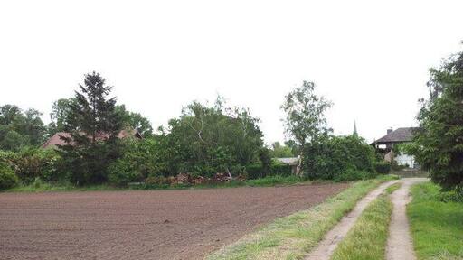 Feldweg am Ortsrand Bellheims