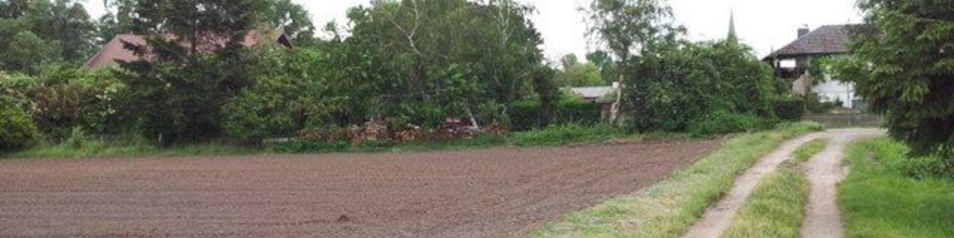 Feldweg am Ortsrand Bellheims