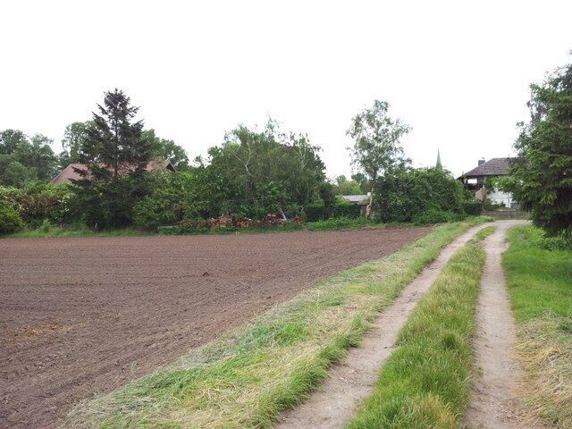 A rural landscape with a dirt path, fields, and scattered trees.