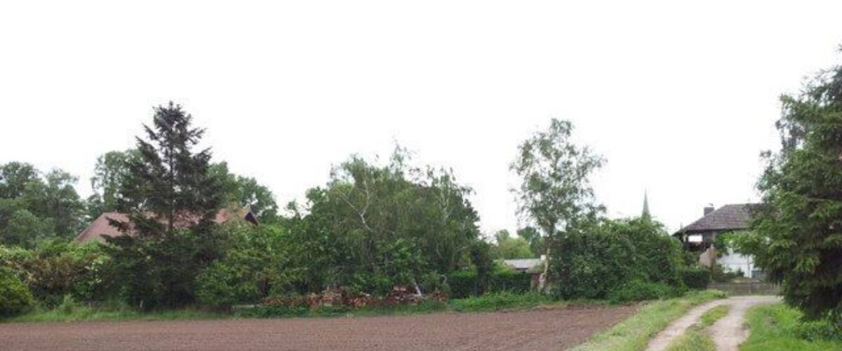 A rural landscape with a dirt path, fields, and scattered trees.