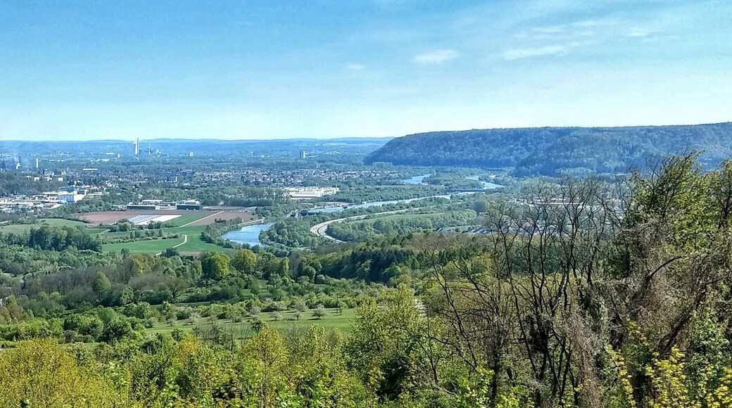 Ausblick am Wanderweg Saarblicke