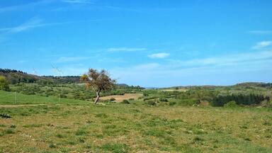 Ausblick am Wanderweg Saarblicke