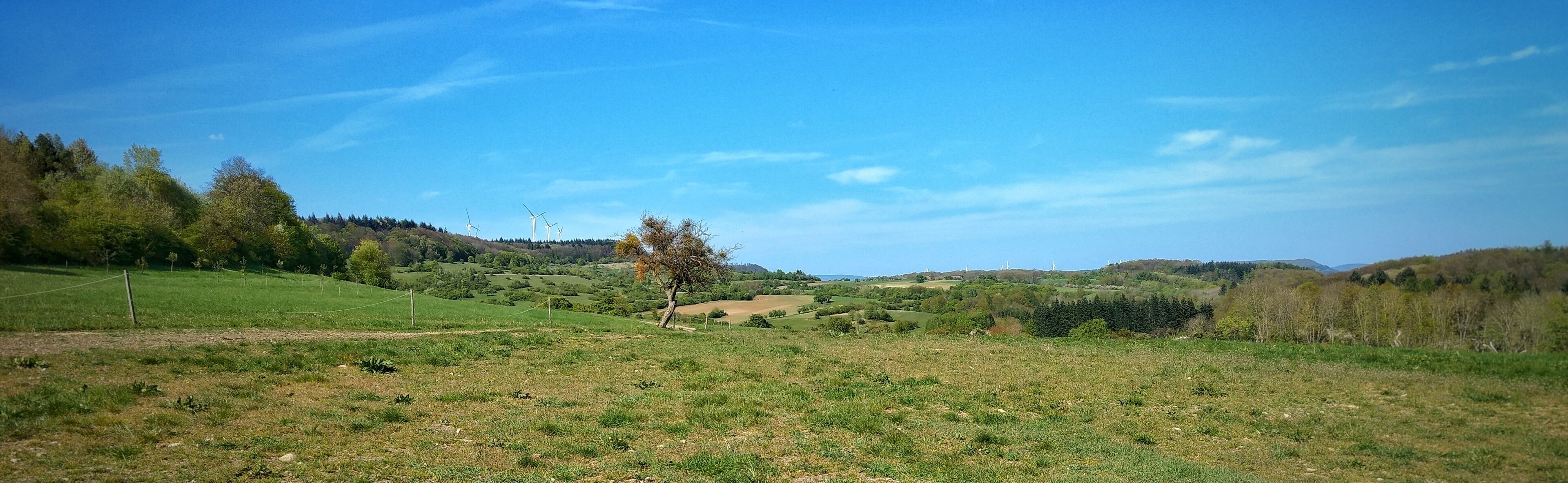 A rural landscape with rolling hills, wind turbines, and a clear blue sky.