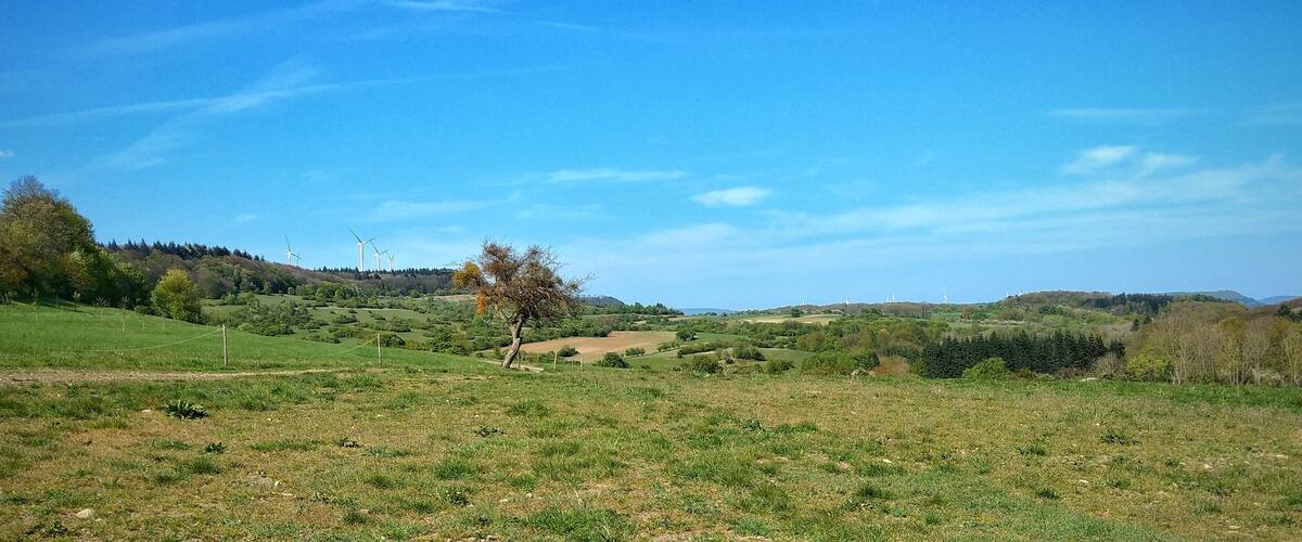 A rural landscape with rolling hills, wind turbines, and a clear blue sky.