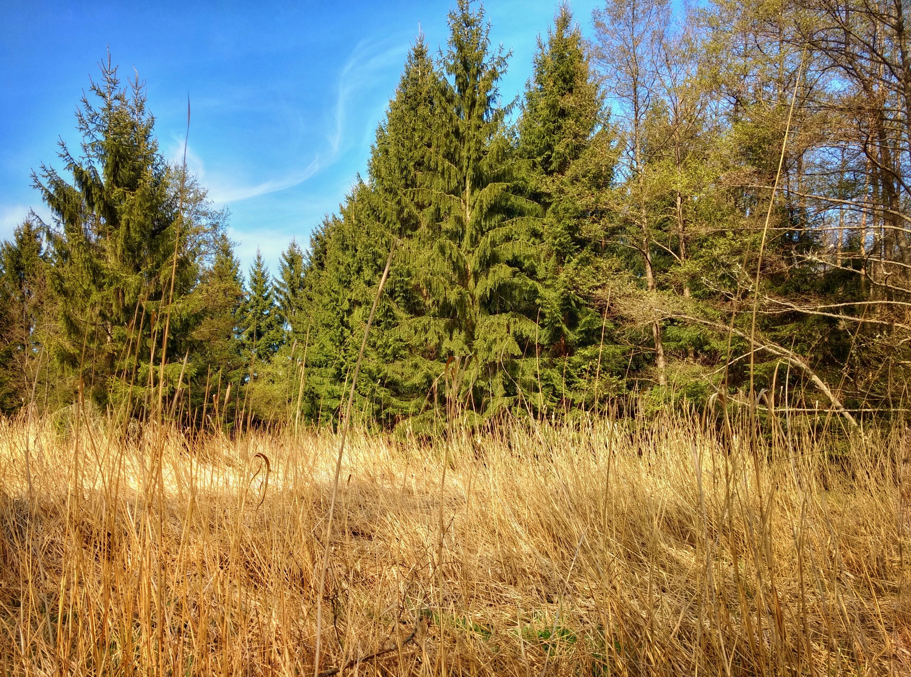 Ausblick am Wanderweg Saarblicke