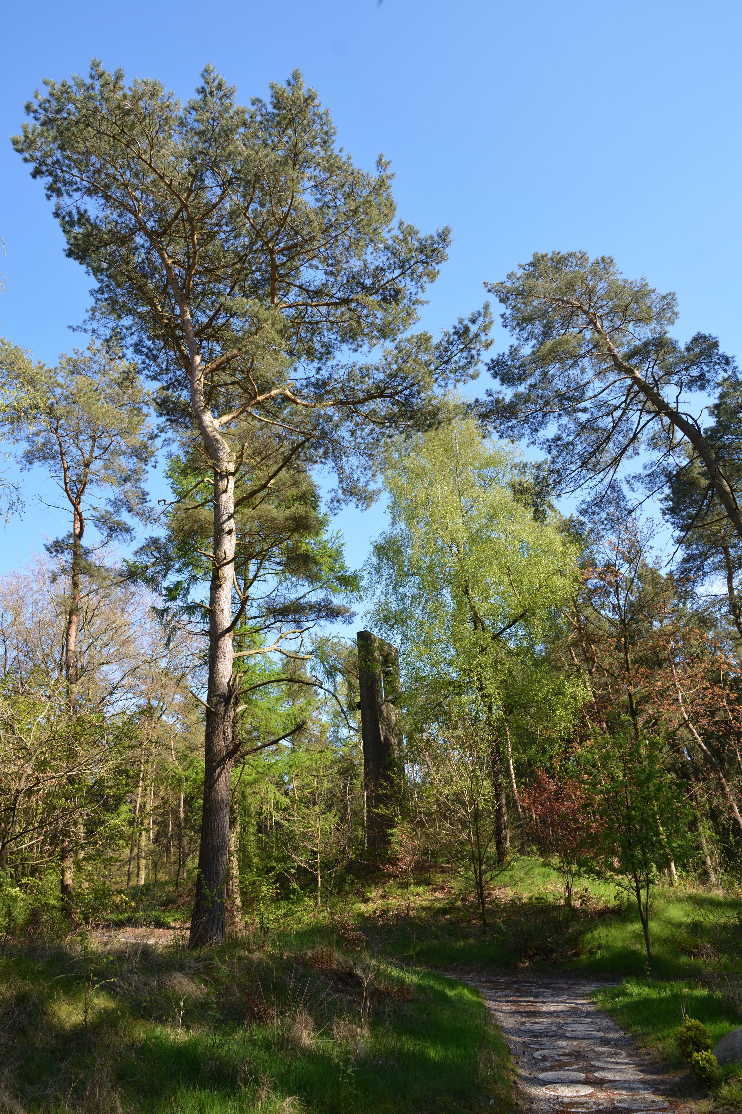 This is a picture of the protected area listed at WDPA under the ID