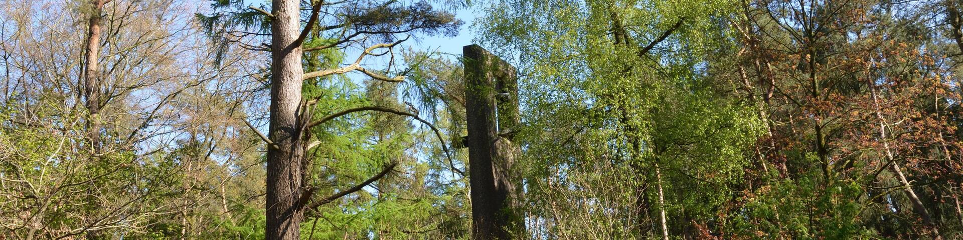 This is a picture of the protected area listed at WDPA under the ID