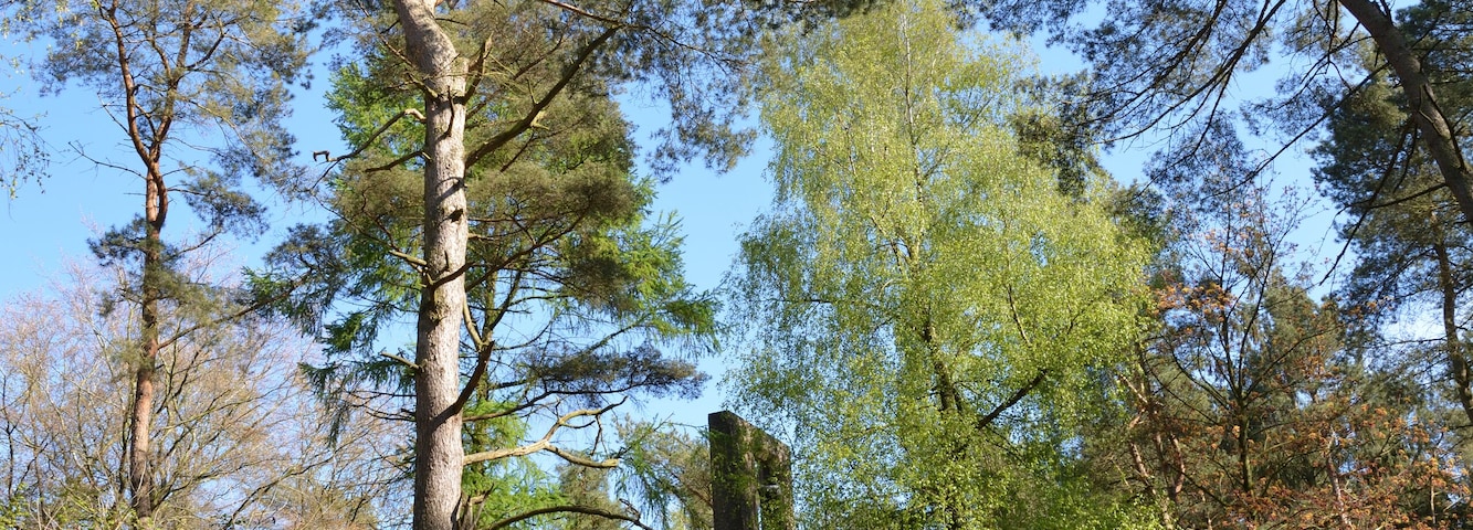 This is a picture of the protected area listed at WDPA under the ID