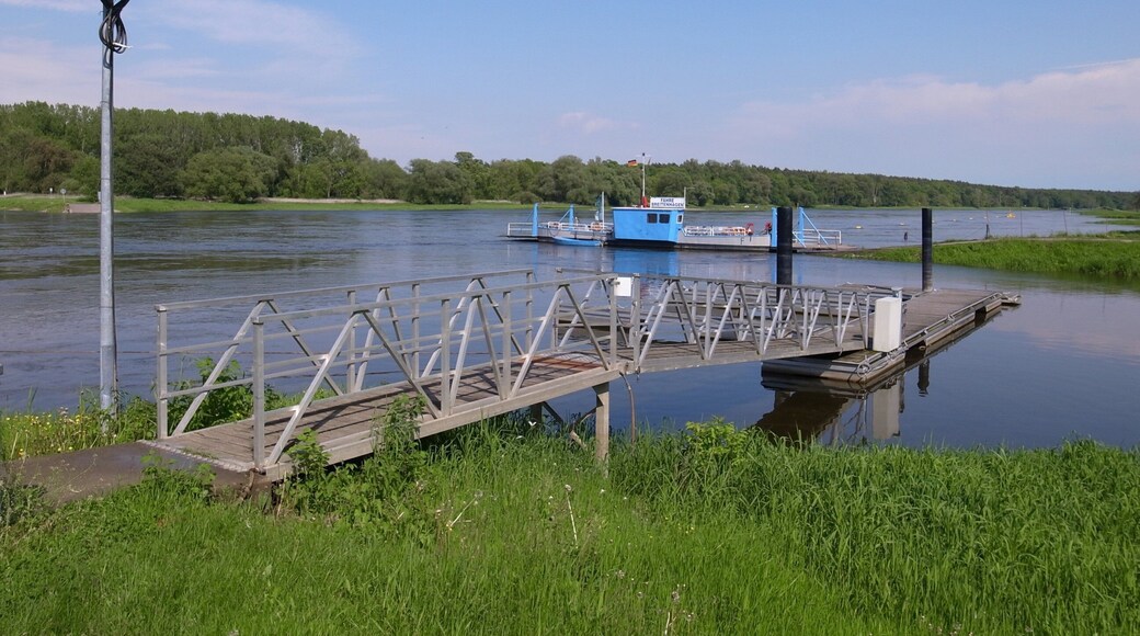 Breitenhagen, Gierseilfähre über die Elbe; abgebildeter Bereich überwiegend im Naturschutzgebiet „Steckby-Lödderitzer Forst“