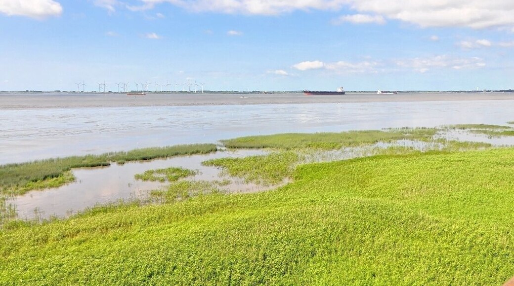 Rund um den alten Baljer Leuchtturm Sommer 2013