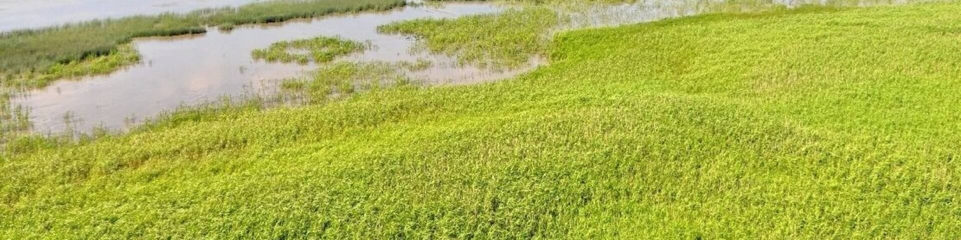Rund um den alten Baljer Leuchtturm Sommer 2013