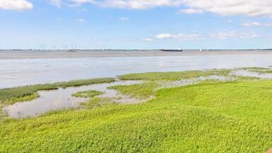 Rund um den alten Baljer Leuchtturm Sommer 2013