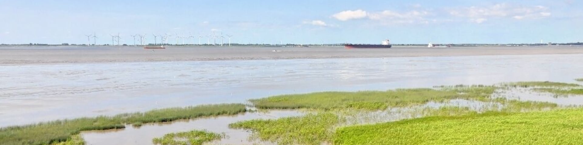 Rund um den alten Baljer Leuchtturm Sommer 2013