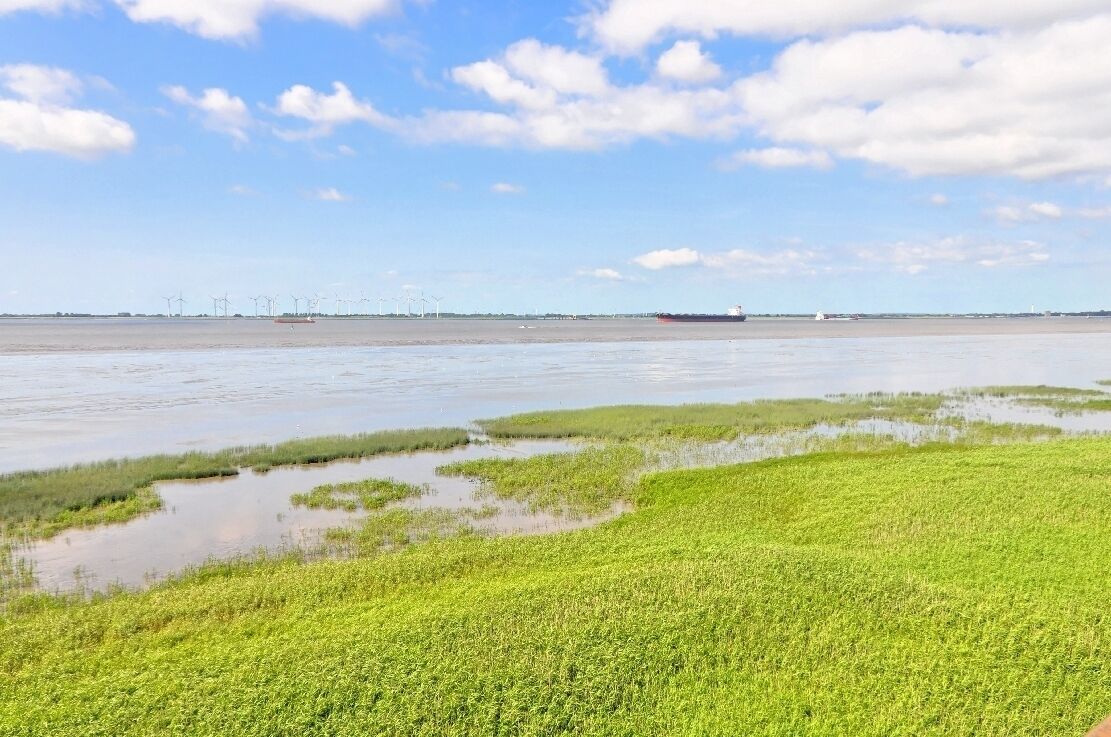 A coastal landscape with green vegetation and a calm body of water.