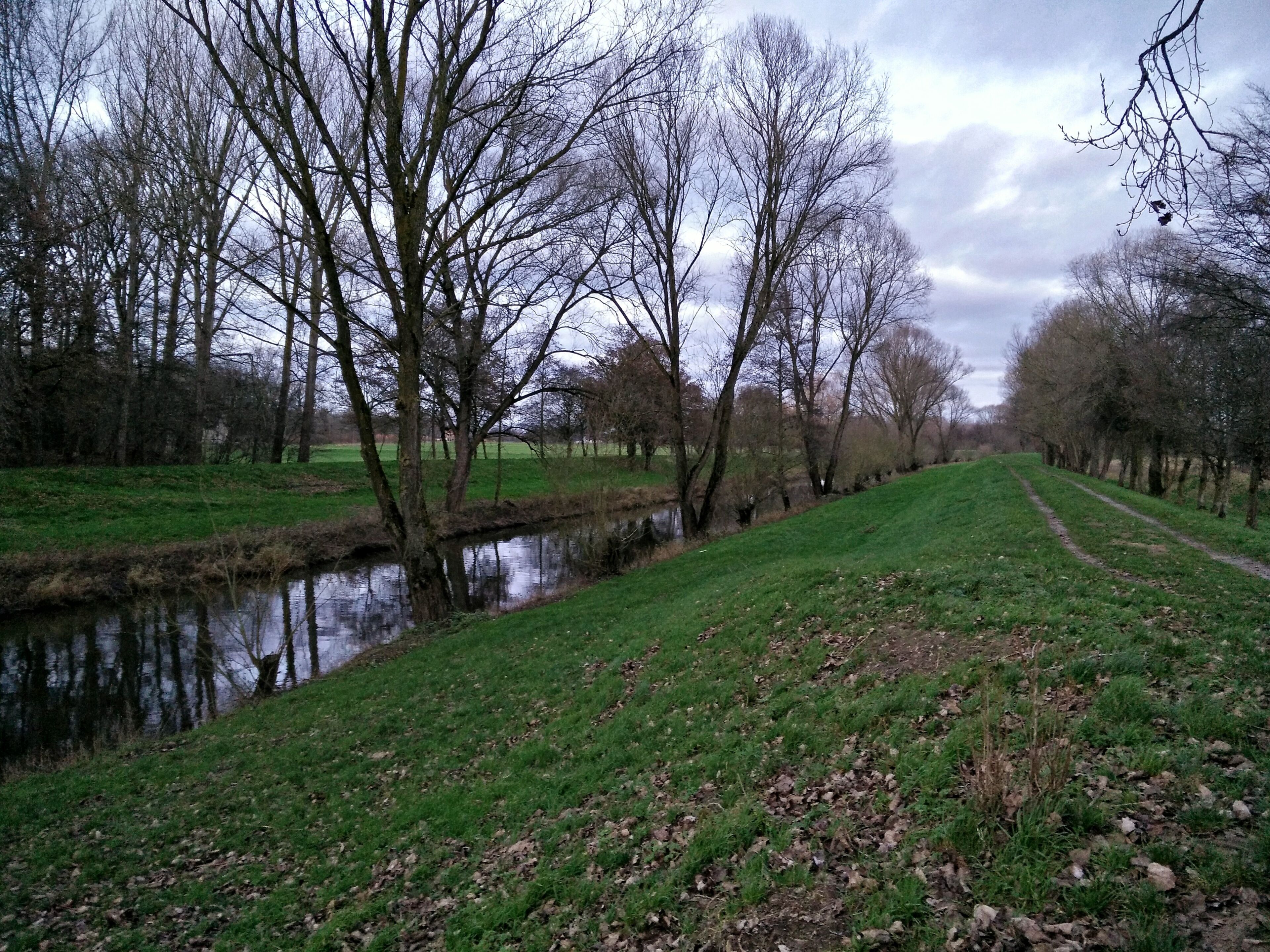 A river with trees on both sides, a grassy area, and a cloudy sky.