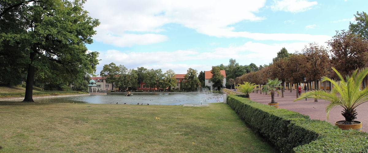 A park with a pond, trees, and buildings in the background.