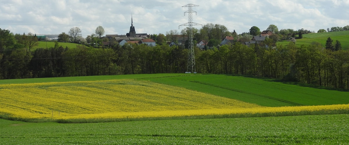 A rural landscape with fields of green and yellow crops, a church, and a power line tower.