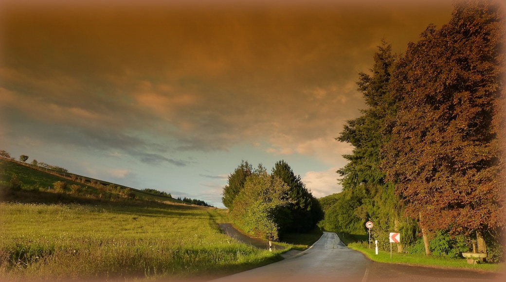 Abendstimmung bei Auen