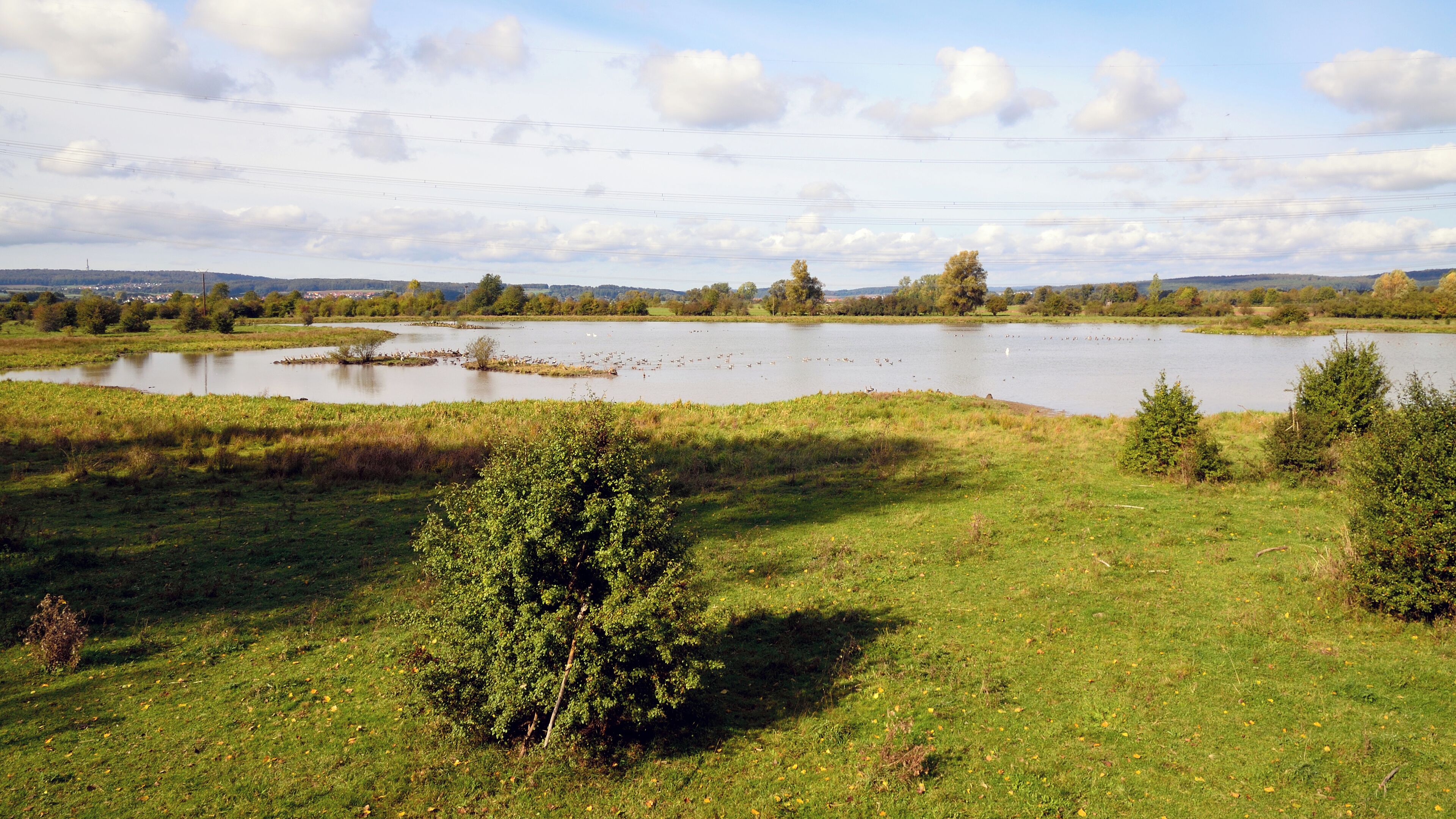 A lake surrounded by grassy fields and trees.