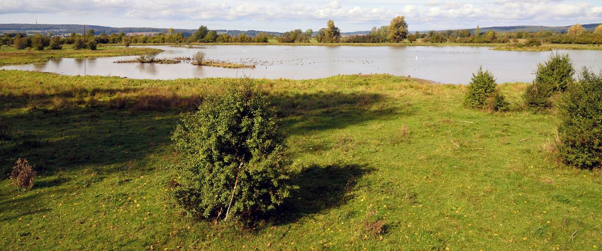 A lake surrounded by grassy fields and trees.