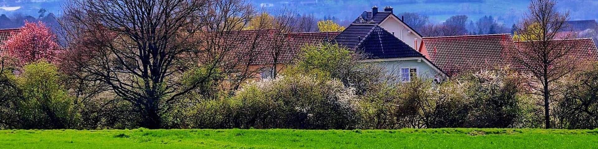 A green field, a house with a red roof, and a hill with a castle in the background.