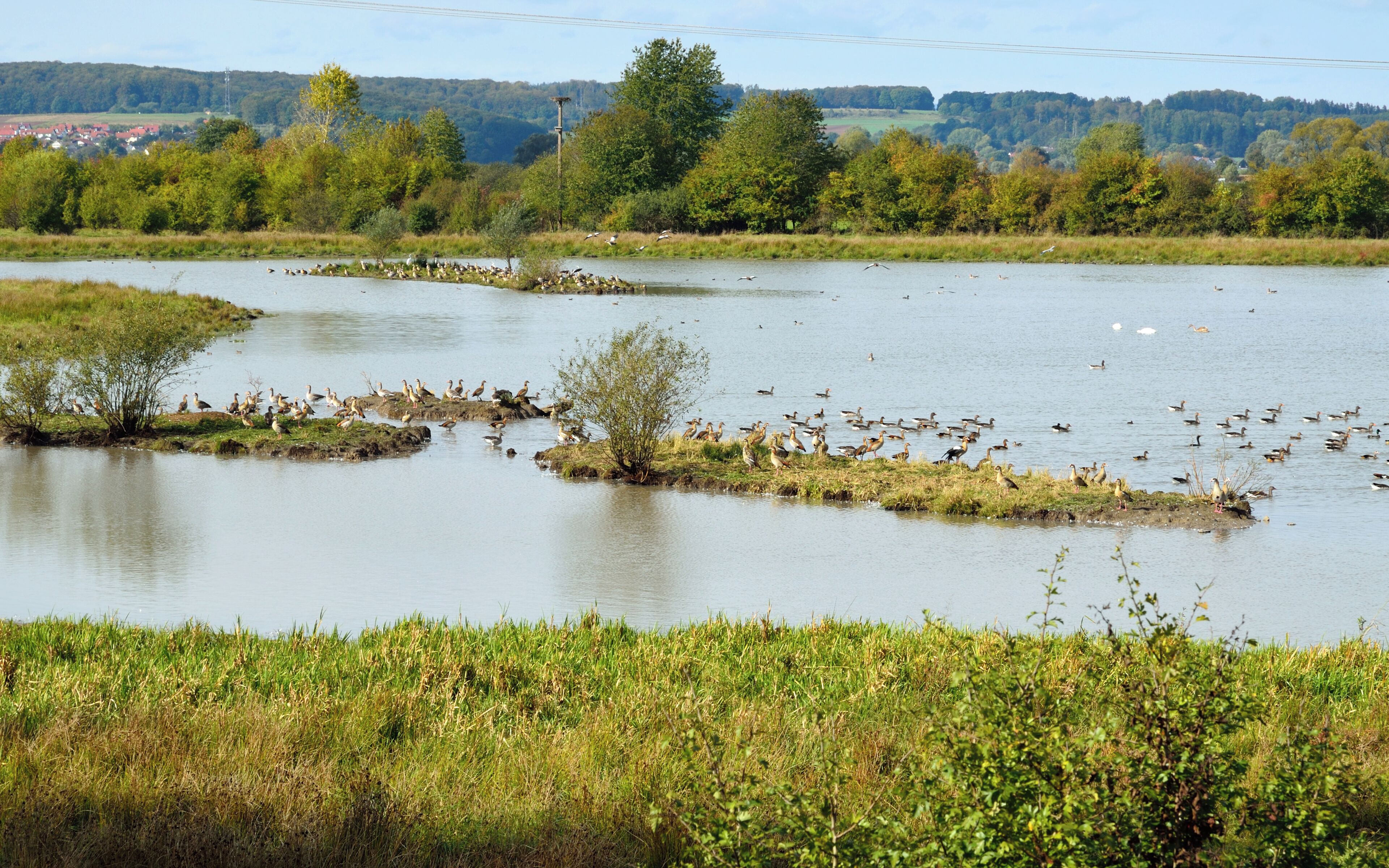Die "Radenhäuser Lache" zwischen Kirchhain und Amöneburg