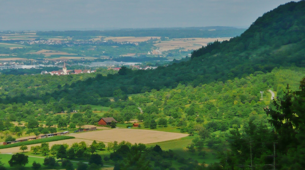 Blick Richtung Herrenberg