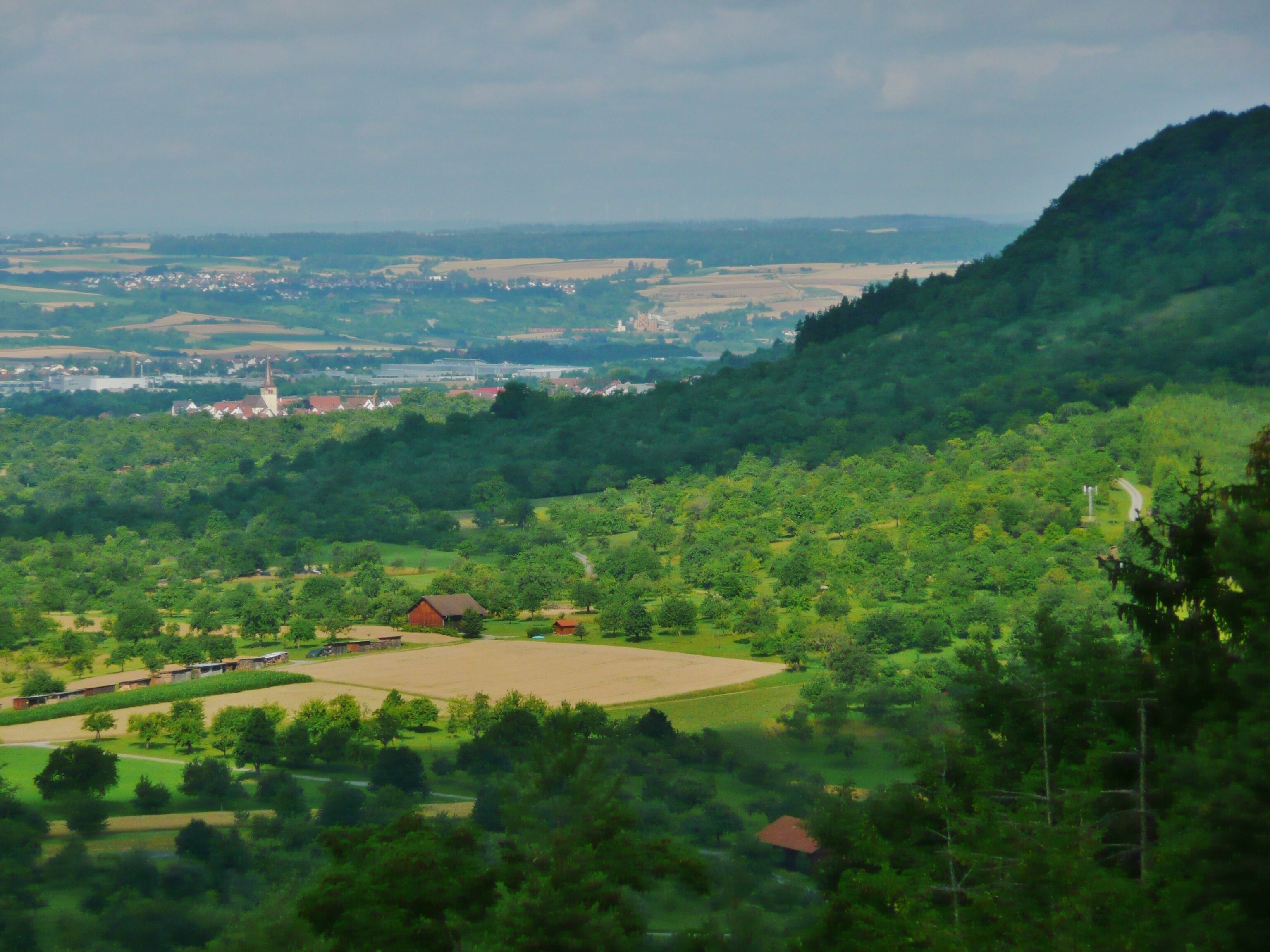 A lush green valley with a church, fields, and a forested hill.