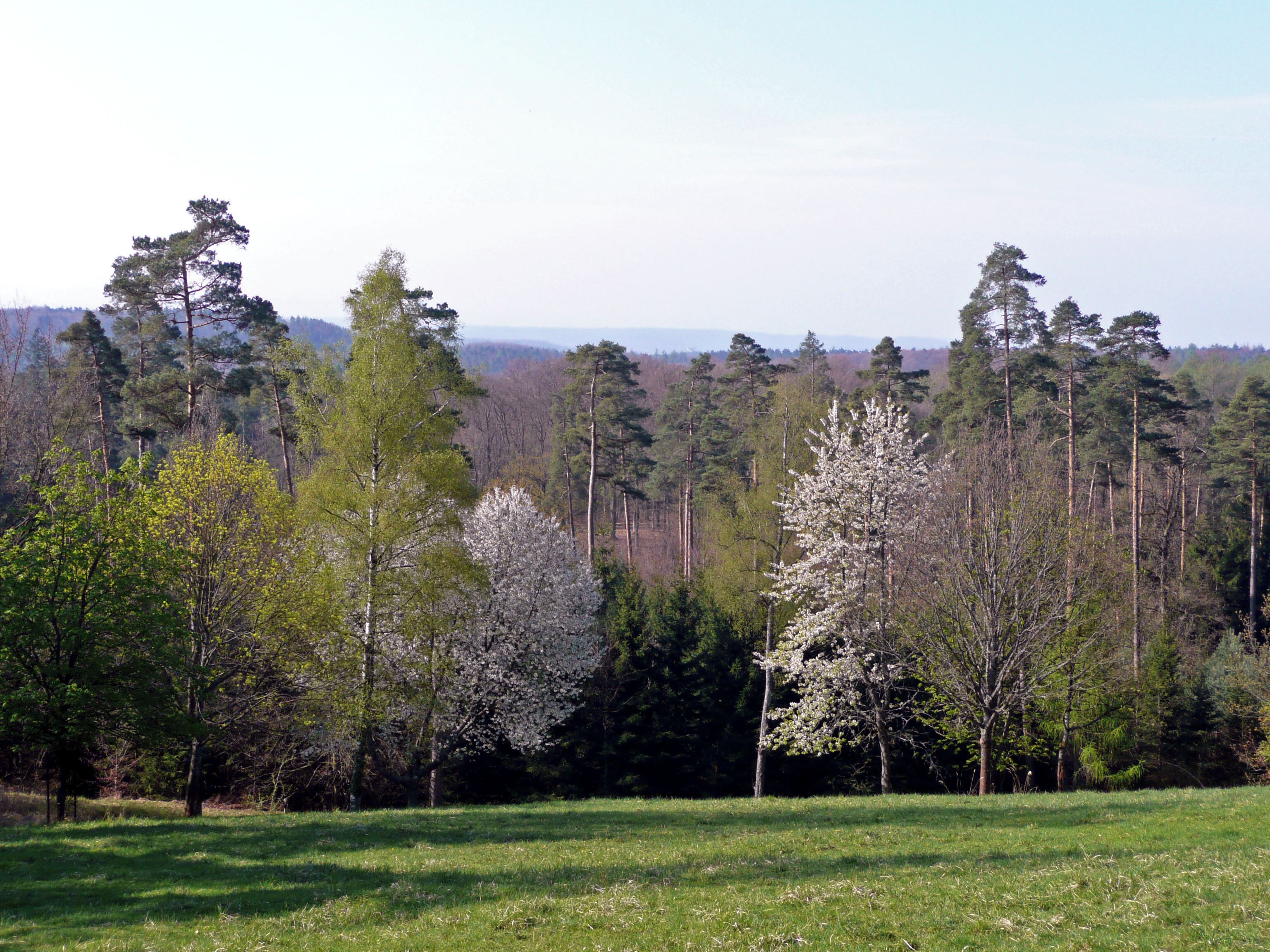 Blick von der Königlichen Jagdhütte