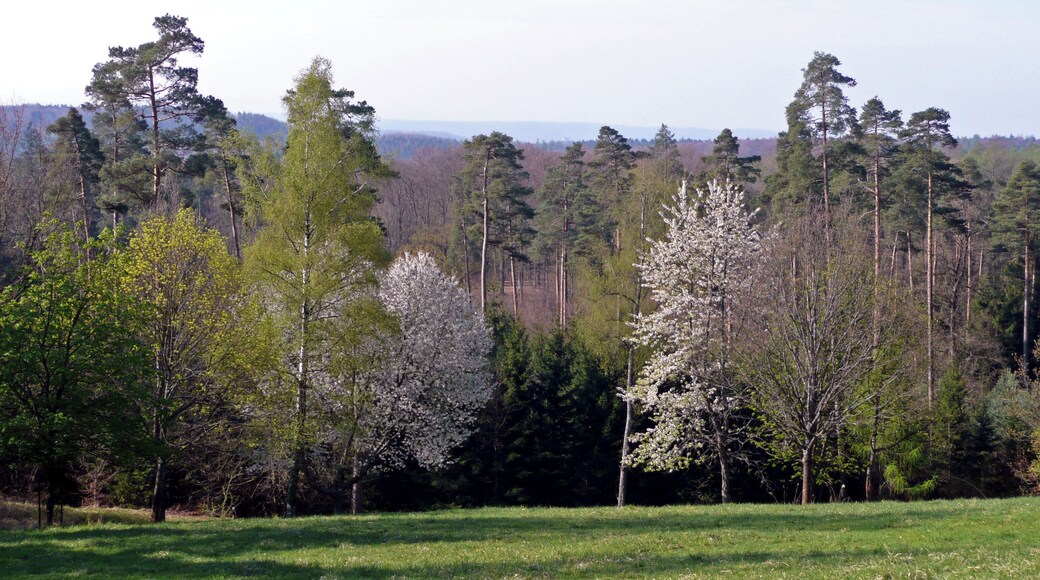 Blick von der Königlichen Jagdhütte