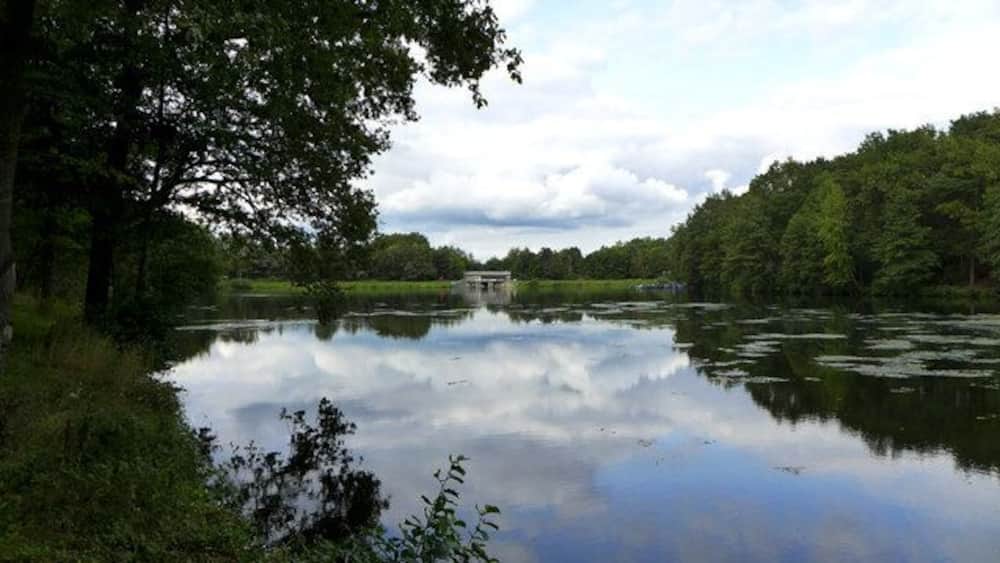 Un lac paisible, entouré d’une forêt dense, sous un ciel nuageux.