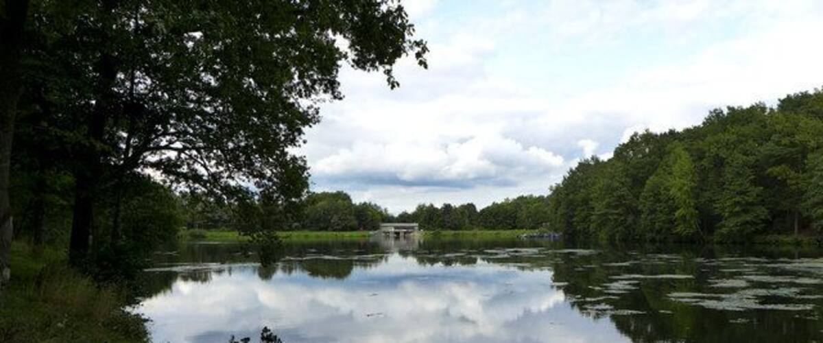 A calm lake surrounded by dense trees and a cloudy sky.