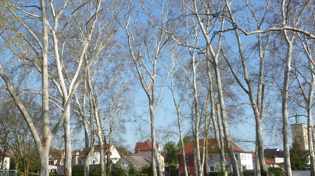 67122 Altrip, Germany