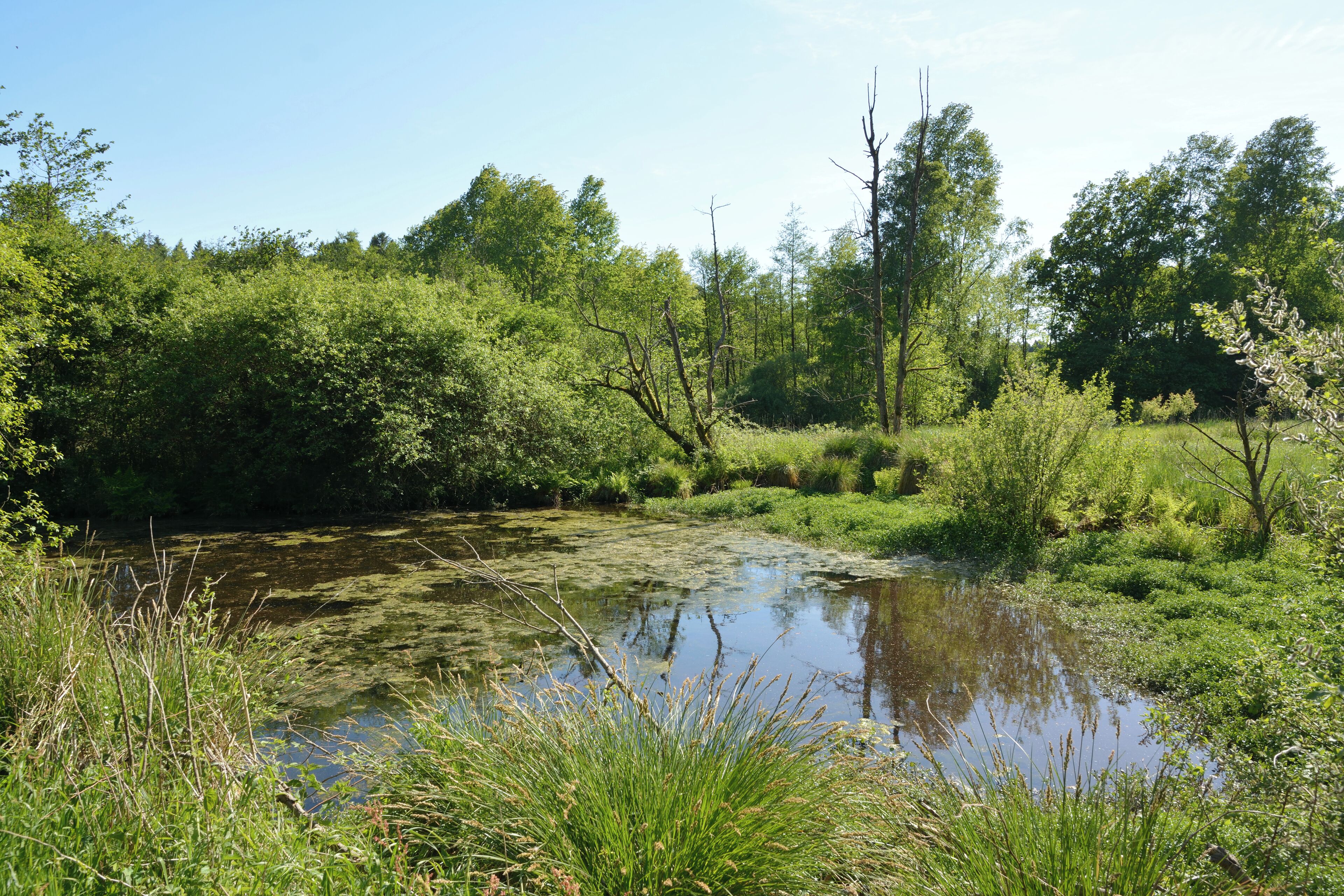 This is a picture of the protected area listed at WDPA under the ID
