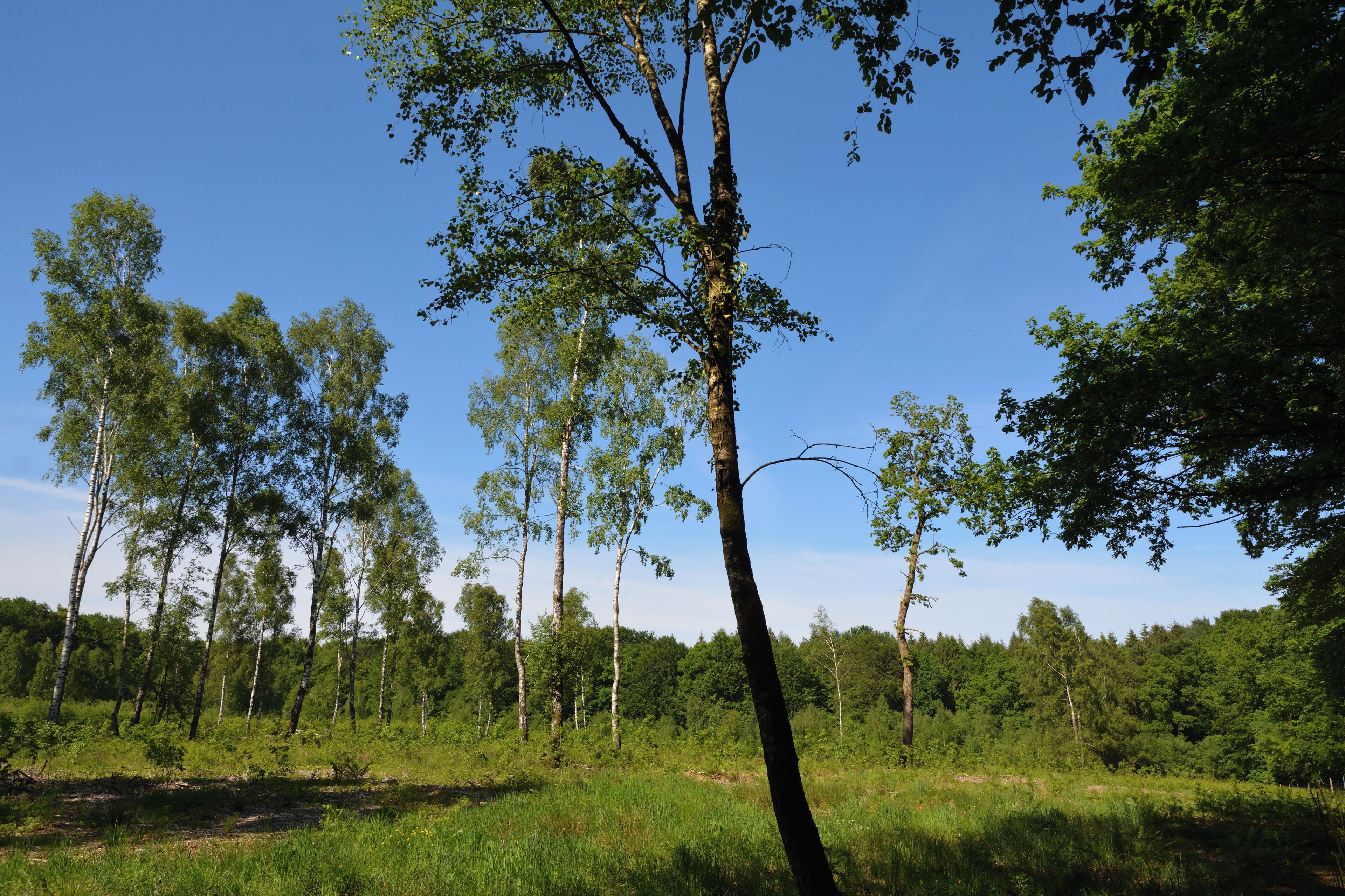 This is a picture of the protected area listed at WDPA under the ID