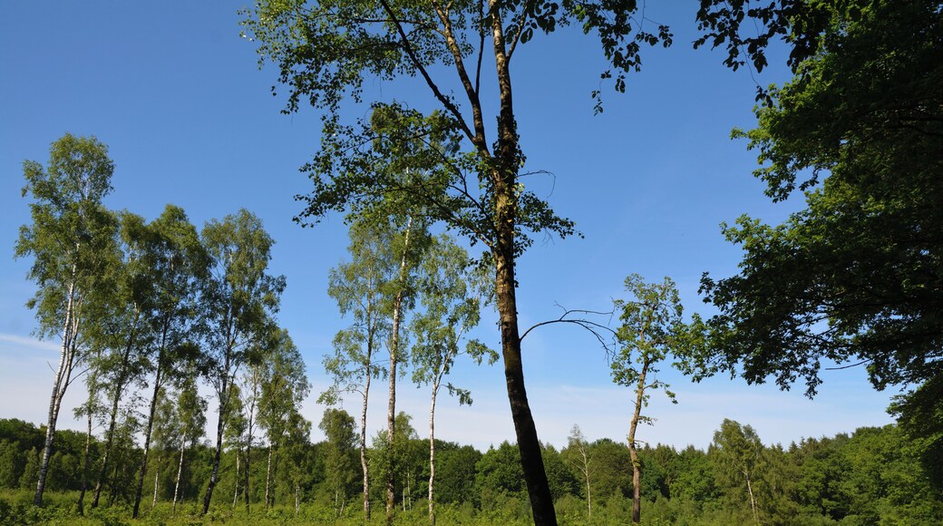 This is a picture of the protected area listed at WDPA under the ID