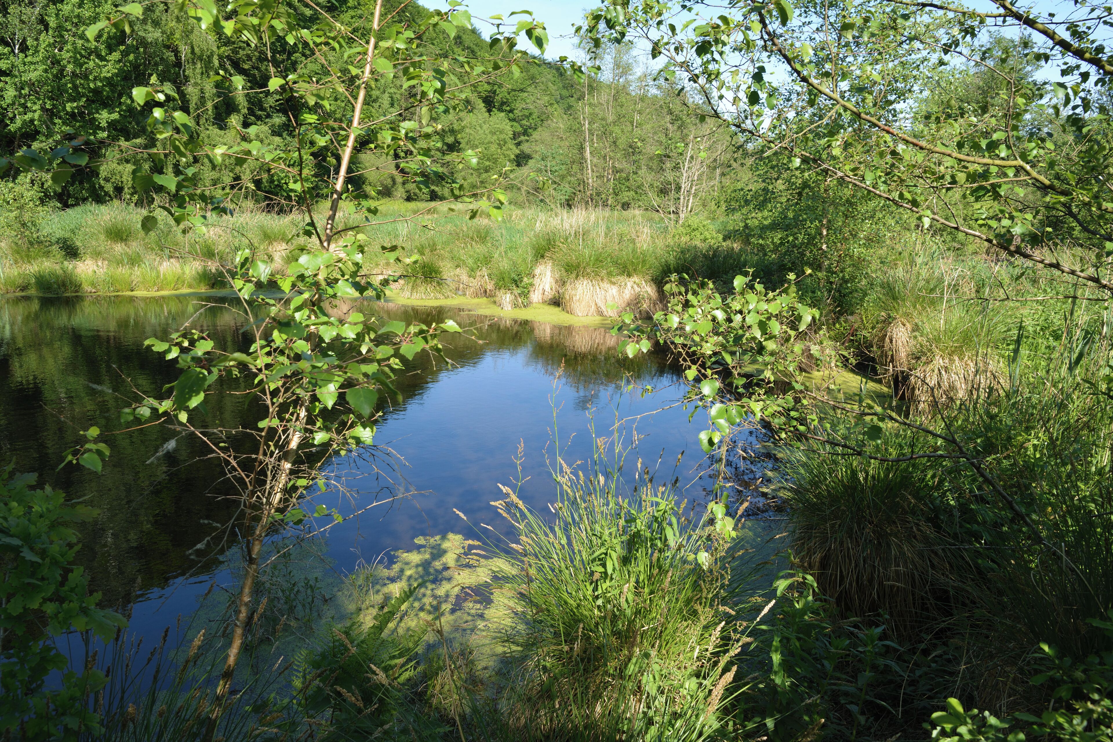 This is a picture of the protected area listed at WDPA under the ID