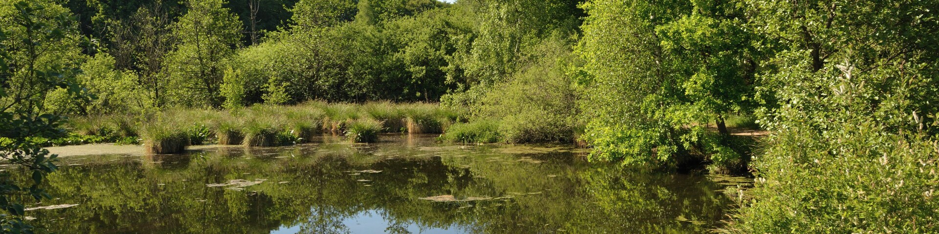 This is a picture of the protected area listed at WDPA under the ID