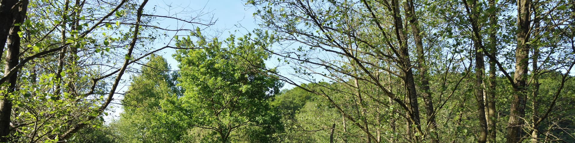 This is a picture of the protected area listed at WDPA under the ID