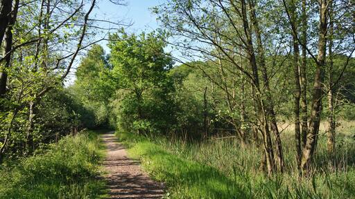 This is a picture of the protected area listed at WDPA under the ID