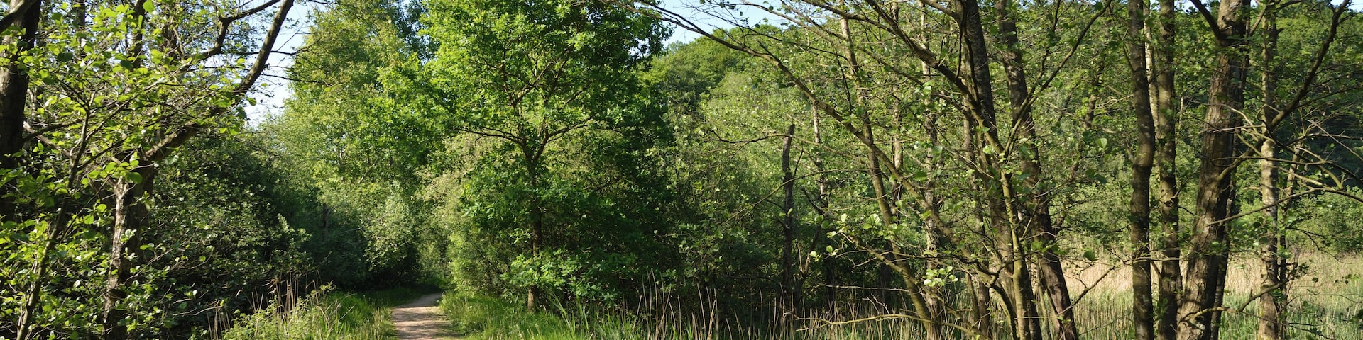 This is a picture of the protected area listed at WDPA under the ID