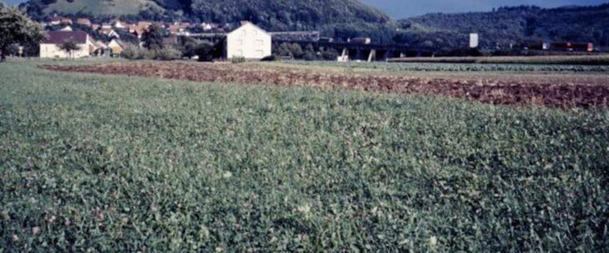 A rural landscape with a field, a white building, and a hill in the background.