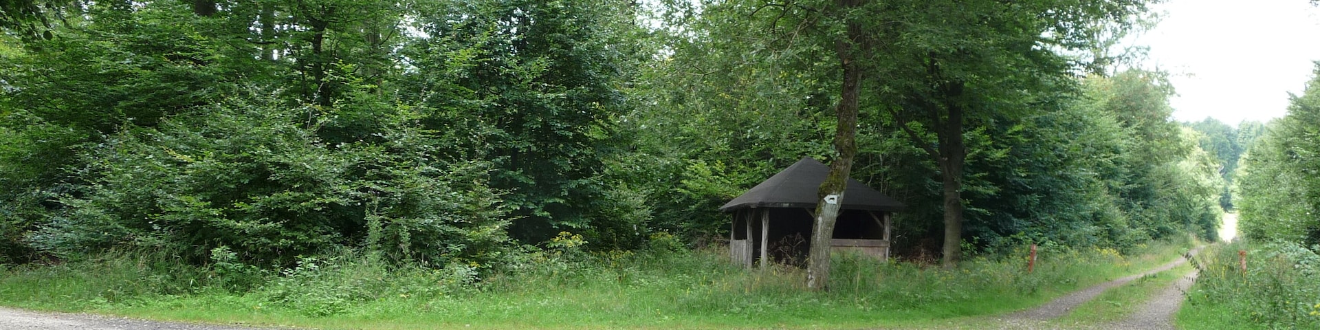 Am Sägfranzenrech Nähe Achtelsbach