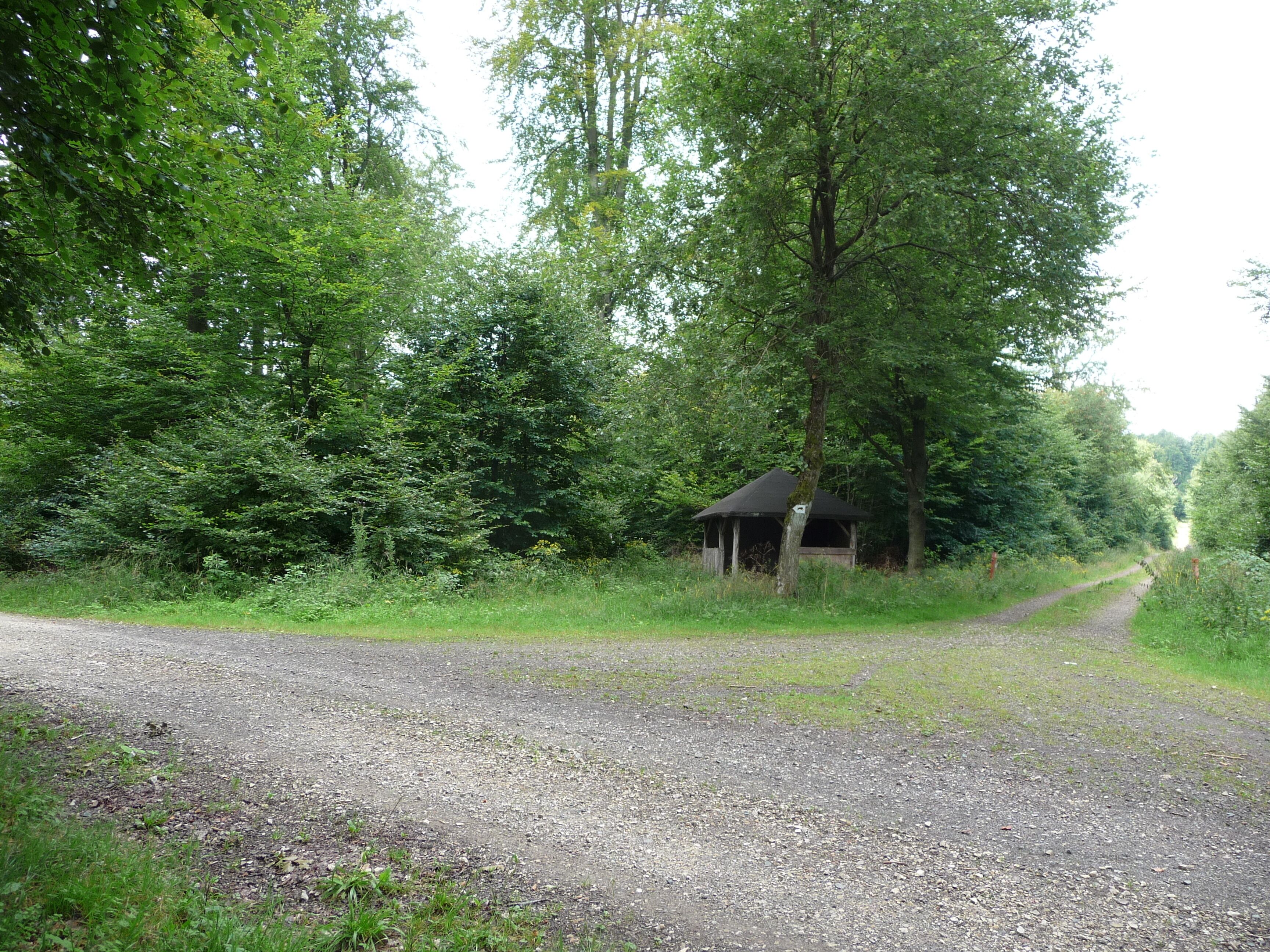 A gravel path leading to a gazebo in a wooded area.