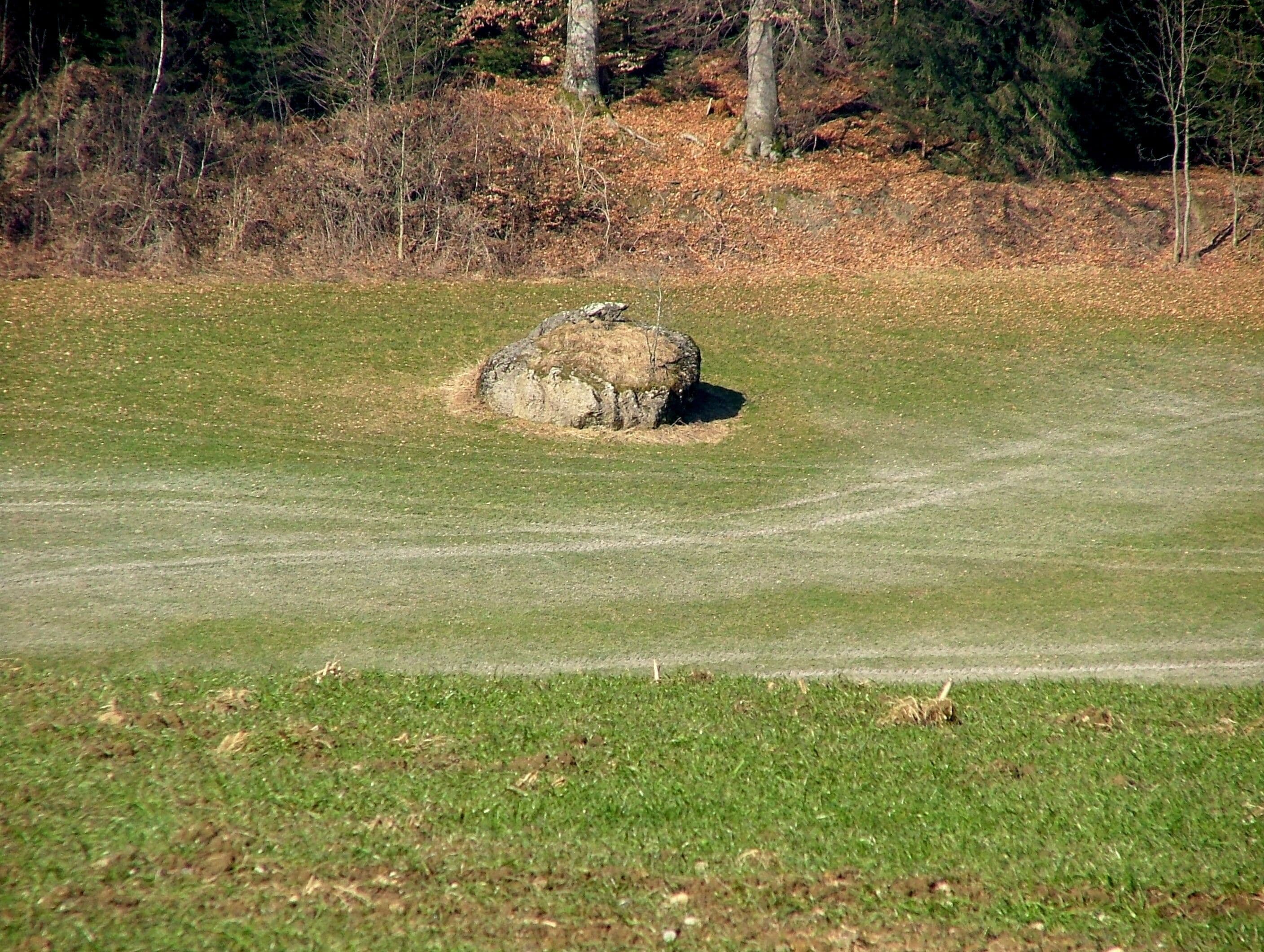 Findling vom Rheingletscher