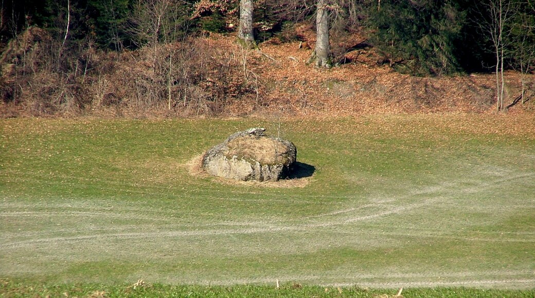 Findling vom Rheingletscher